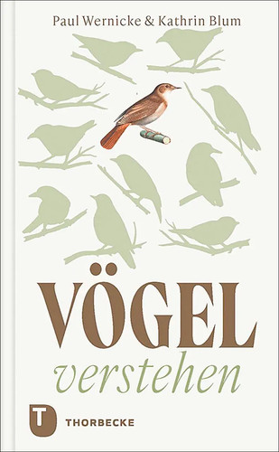 Vögel verstehen was - verstehen,